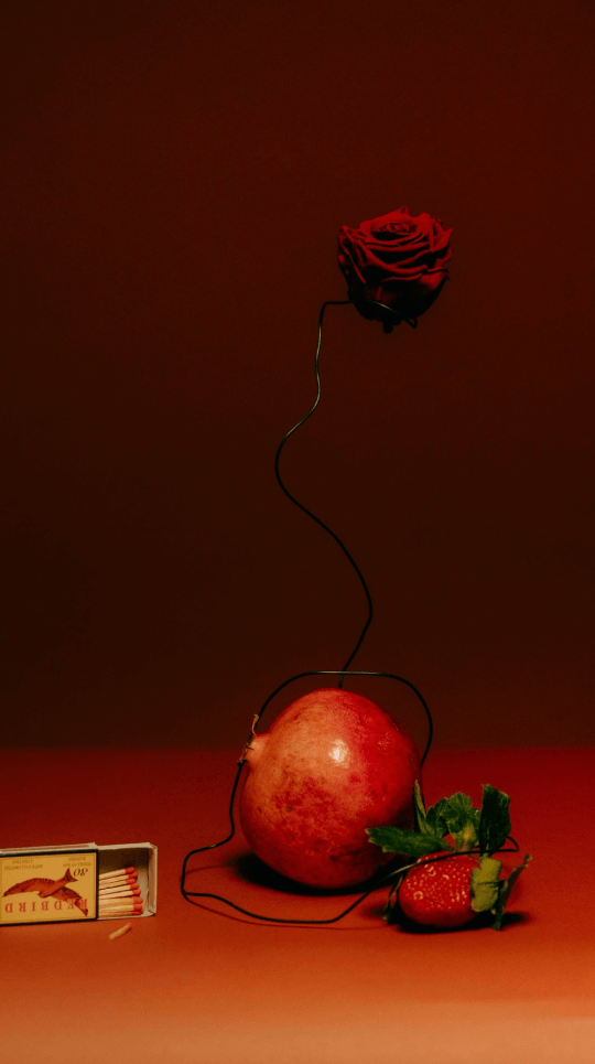 Kanizsa Florals pomegranate still life