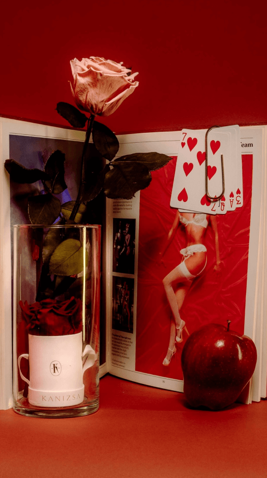 Kanizsa Florals editorial still life